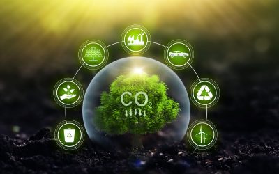 Carbon Dioxide Treatment: Unlocking the Potential of CO2 for Sustainable Industry